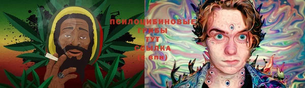 a pvp Краснослободск