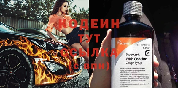 прущая мука Корсаков