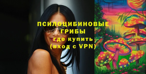a pvp Краснослободск