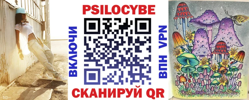 Галлюциногенные грибы Psilocybine cubensis  Купить  Верещагино 